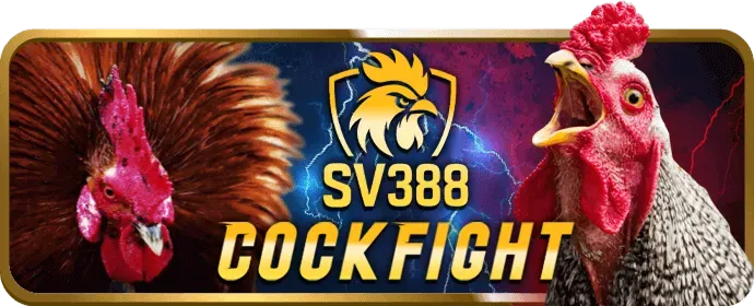 Tin tức casino và slot game